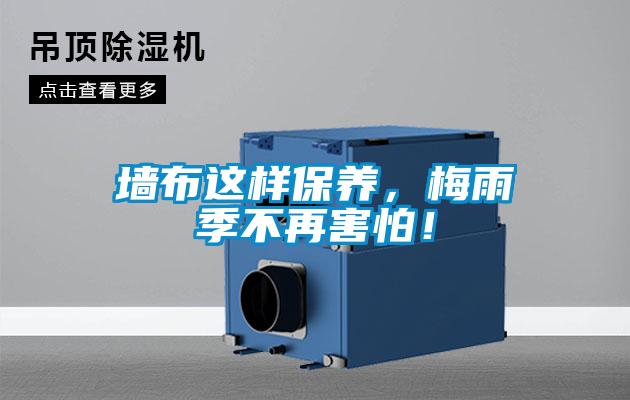 墻布這樣保養(yǎng)，梅雨季不再害怕！