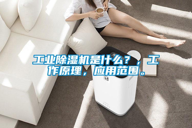 工業(yè)除濕機是什么？，工作原理，應(yīng)用范圍。