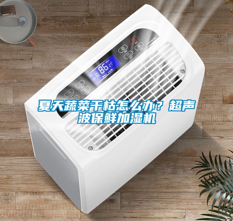 夏天蔬菜干枯怎么辦？超聲波保鮮加濕機(jī)