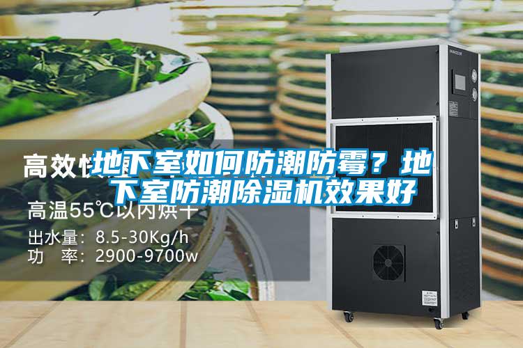 地下室如何防潮防霉？地下室防潮除濕機(jī)效果好