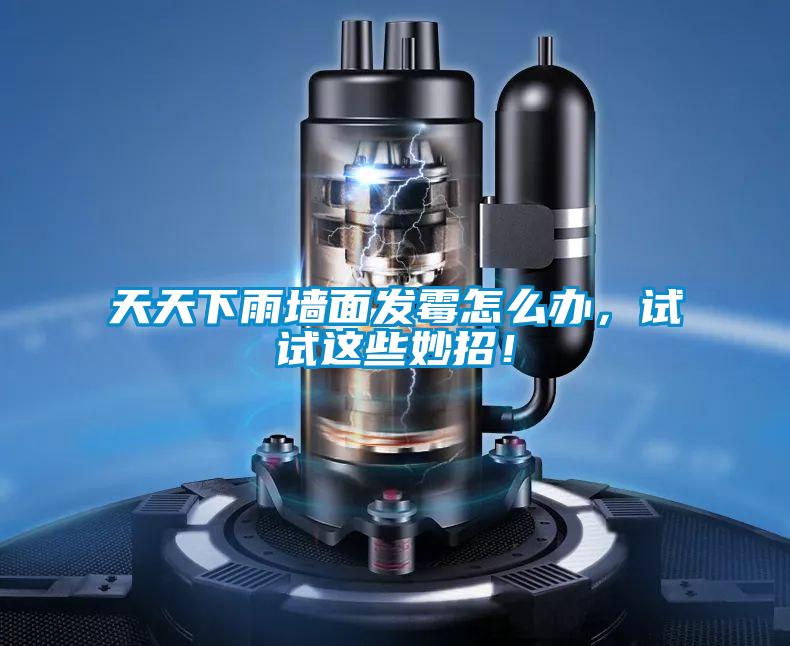 天天下雨墻面發(fā)霉怎么辦，試試這些妙招！