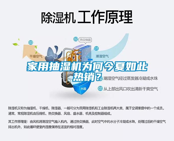 家用抽濕機為何今夏如此熱銷？