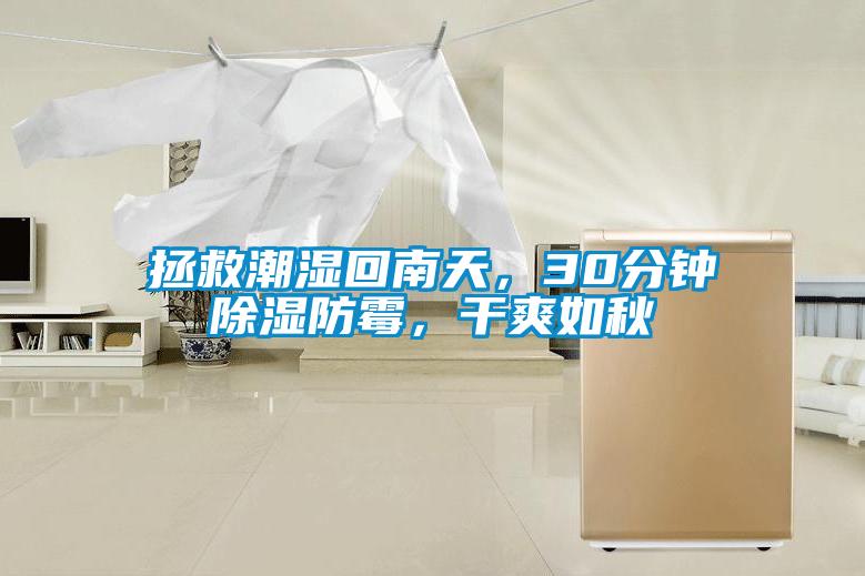 拯救潮濕回南天，30分鐘除濕防霉，干爽如秋
