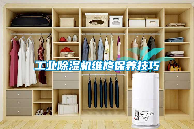 工業(yè)除濕機維修保養(yǎng)技巧