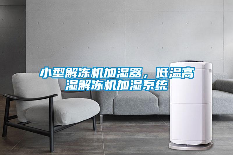 小型解凍機(jī)加濕器，低溫高濕解凍機(jī)加濕系統(tǒng)