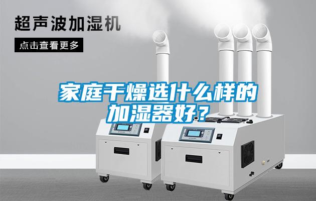 家庭干燥選什么樣的加濕器好？