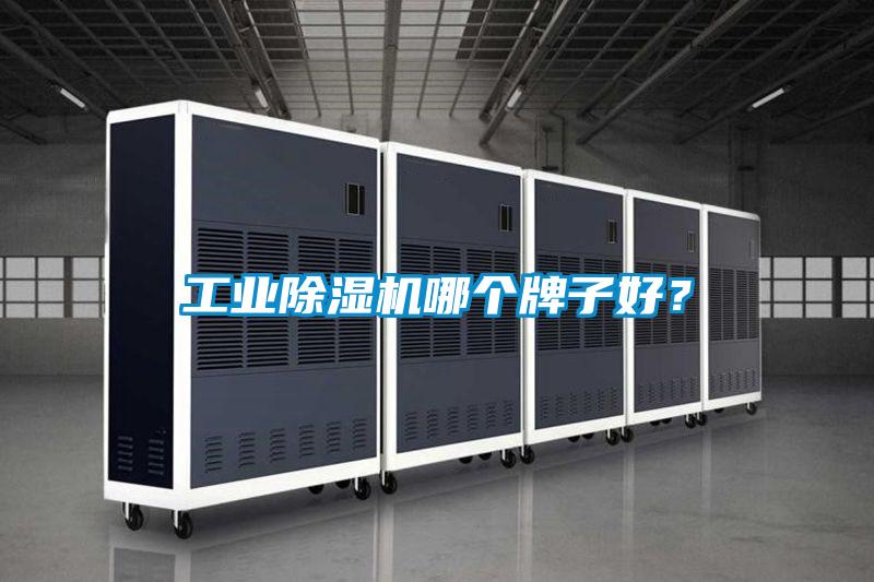 工業(yè)除濕機哪個牌子好？