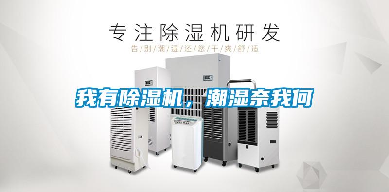 我有除濕機(jī)，潮濕奈我何