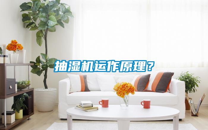 抽濕機運作原理？