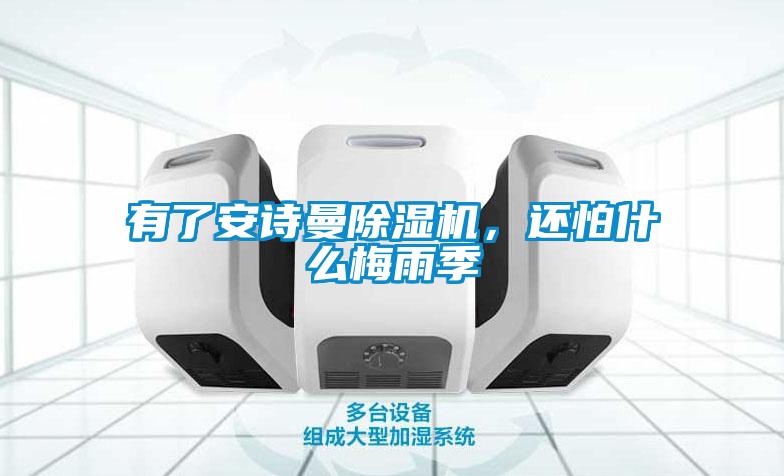 有了安詩曼除濕機，還怕什么梅雨季