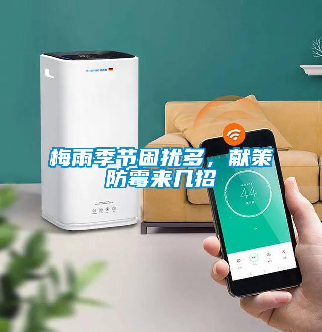 梅雨季節(jié)困擾多，獻策防霉來幾招