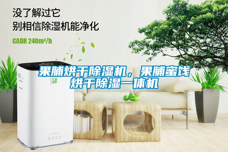 果脯烘干除濕機，果脯蜜餞烘干除濕一體機