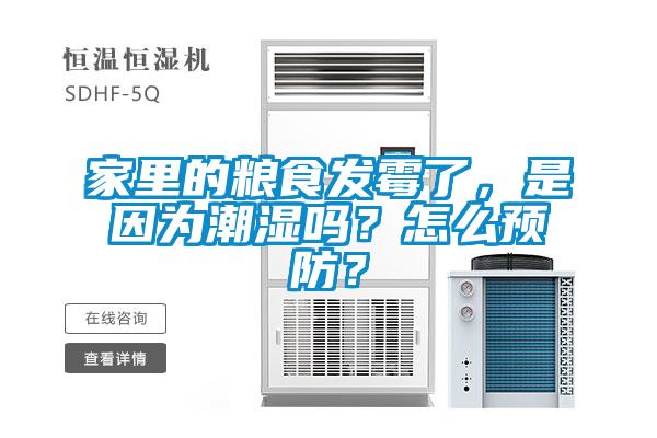 家里的糧食發(fā)霉了，是因?yàn)槌睗駟幔吭趺搭A(yù)防？