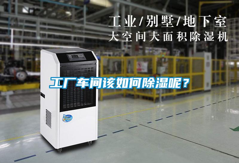 工廠車間該如何除濕呢？