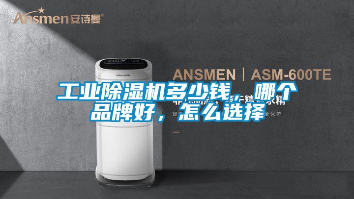 工業(yè)除濕機(jī)多少錢，哪個(gè)品牌好，怎么選擇