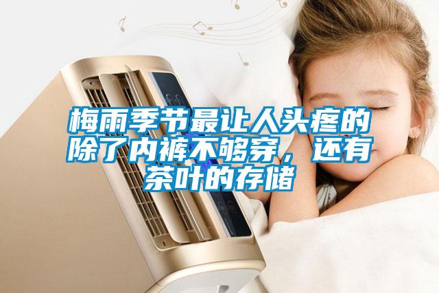 梅雨季節(jié)最讓人頭疼的除了內(nèi)褲不夠穿，還有茶葉的存儲(chǔ)