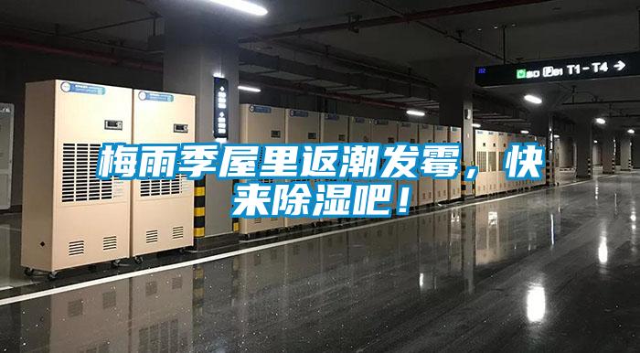 梅雨季屋里返潮發(fā)霉，快來除濕吧！