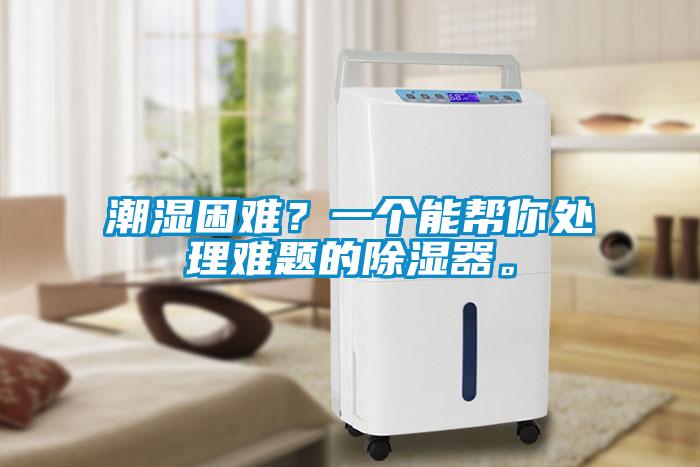 潮濕困難？一個能幫你處理難題的除濕器。