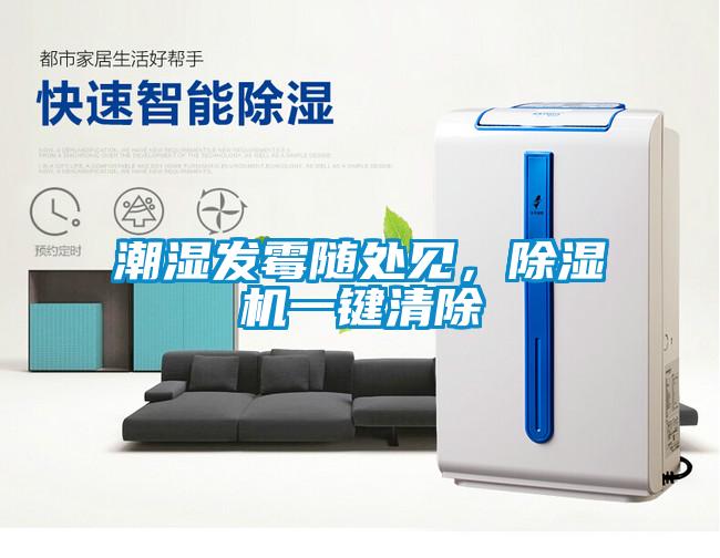 潮濕發(fā)霉隨處見，除濕機(jī)一鍵清除