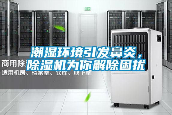 潮濕環(huán)境引發(fā)鼻炎，除濕機(jī)為你解除困擾