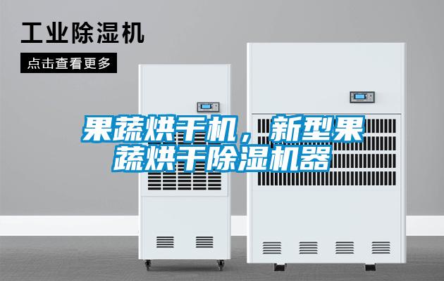 果蔬烘干機，新型果蔬烘干除濕機器