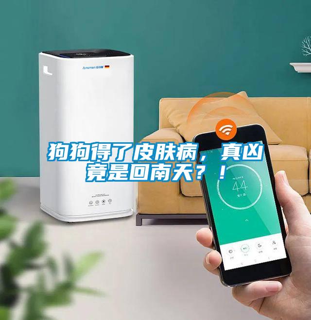 狗狗得了皮膚病，真兇竟是回南天？！