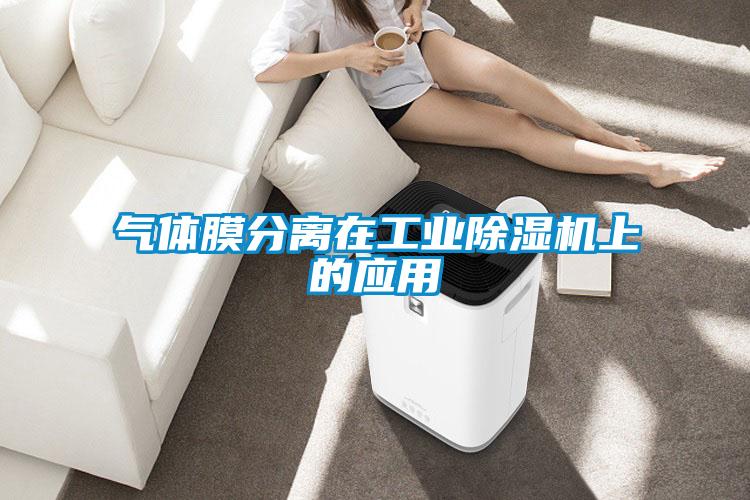 氣體膜分離在工業(yè)除濕機上的應(yīng)用