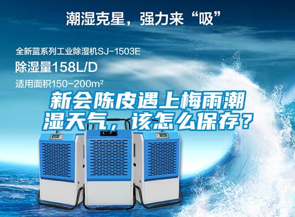 新會陳皮遇上梅雨潮濕天氣，該怎么保存？