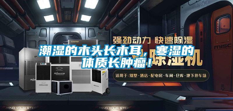 潮濕的木頭長木耳，寒濕的體質(zhì)長腫瘤！