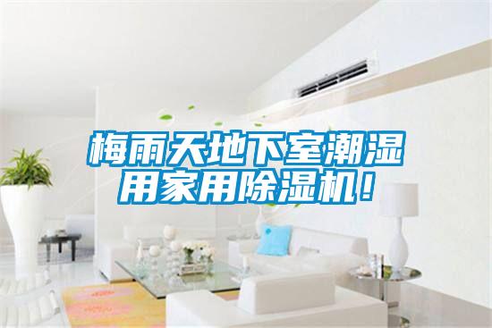 梅雨天地下室潮濕用家用除濕機！