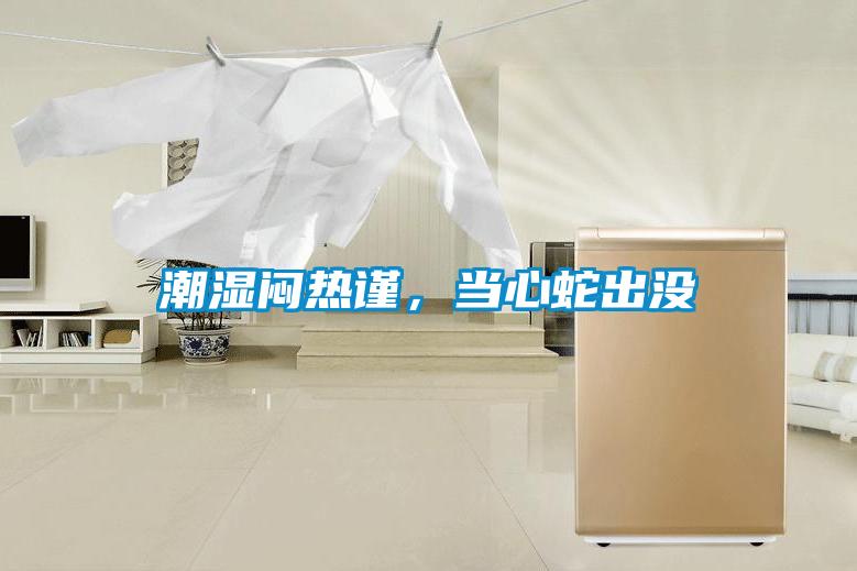 潮濕悶熱謹，當(dāng)心蛇出沒