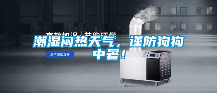 潮濕悶熱天氣，謹(jǐn)防狗狗中暑！