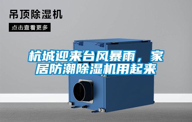 杭城迎來臺風(fēng)暴雨,家居防潮除濕機(jī)用起來