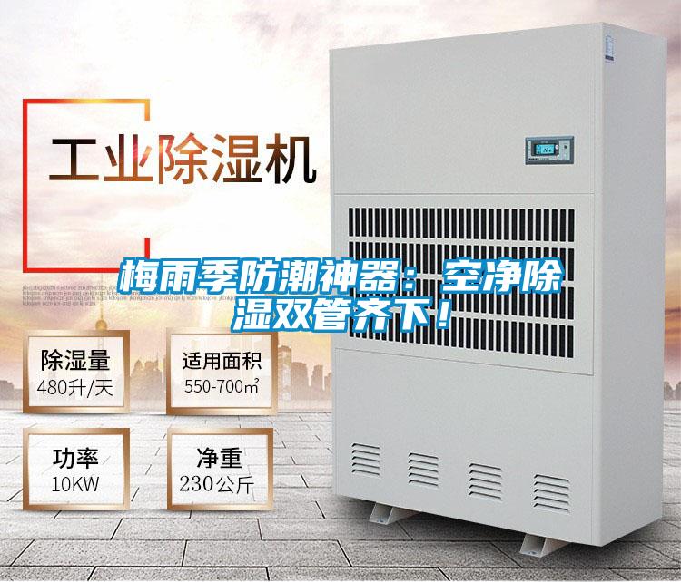 梅雨季防潮神器：空凈除濕雙管齊下！