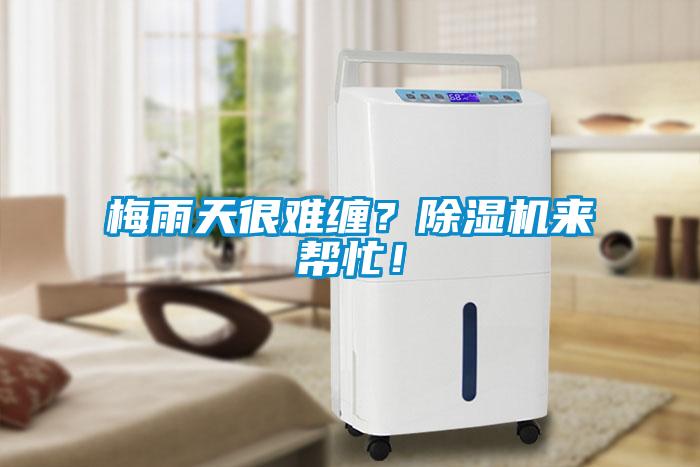 梅雨天很難纏？除濕機(jī)來幫忙！