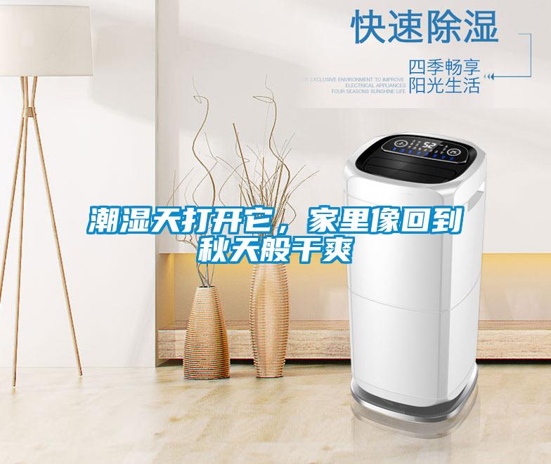 潮濕天打開它，家里像回到秋天般干爽