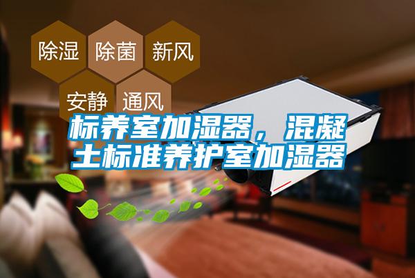 標養(yǎng)室加濕器，混凝土標準養(yǎng)護室加濕器