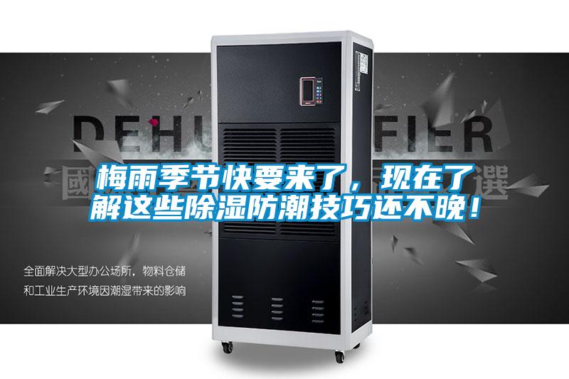 梅雨季節(jié)快要來了，現(xiàn)在了解這些除濕防潮技巧還不晚！