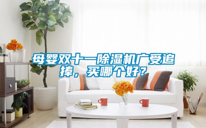 母嬰雙十一除濕機(jī)廣受追捧，買哪個(gè)好？