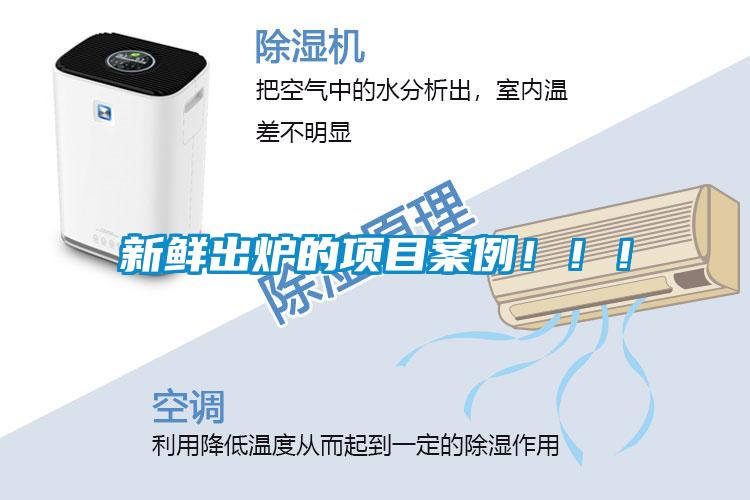新鮮出爐的項(xiàng)目案例?。?！