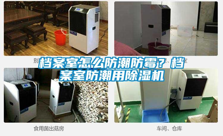 檔案室怎么防潮防霉？檔案室防潮用除濕機