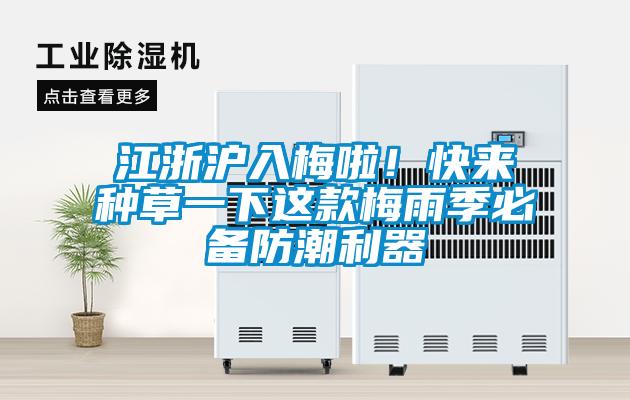 江浙滬入梅啦！快來種草一下這款梅雨季必備防潮利器