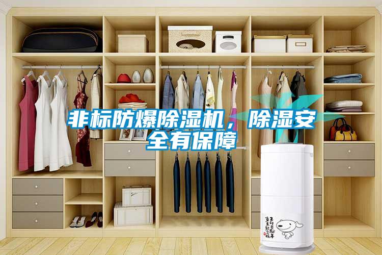 非標(biāo)防爆除濕機(jī)，除濕安全有保障