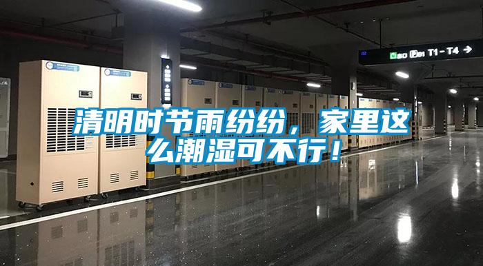 清明時(shí)節(jié)雨紛紛，家里這么潮濕可不行！
