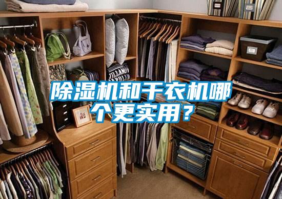 除濕機(jī)和干衣機(jī)哪個(gè)更實(shí)用？