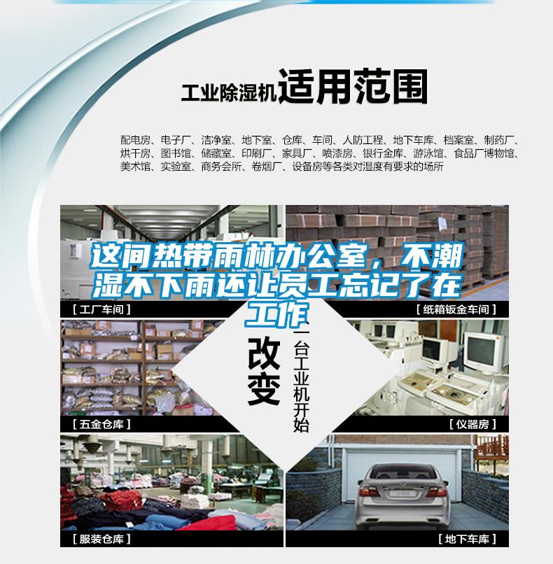 這間熱帶雨林辦公室，不潮濕不下雨還讓員工忘記了在工作