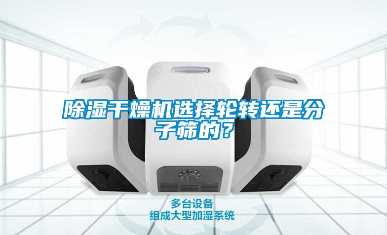 除濕干燥機選擇輪轉(zhuǎn)還是分子篩的？