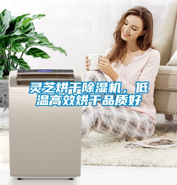 靈芝烘干除濕機(jī)，低溫高效烘干品質(zhì)好