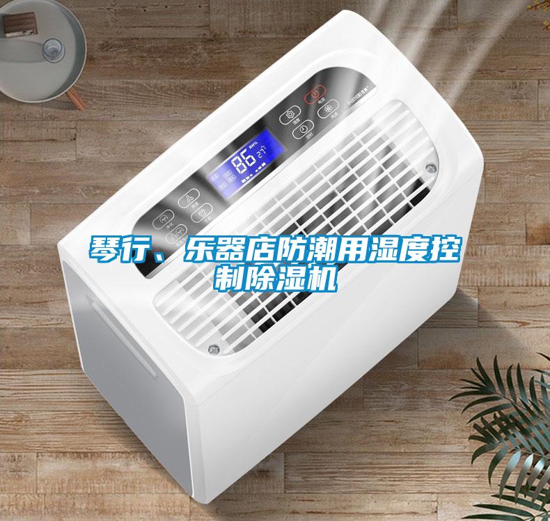 琴行、樂器店防潮用濕度控制除濕機(jī)