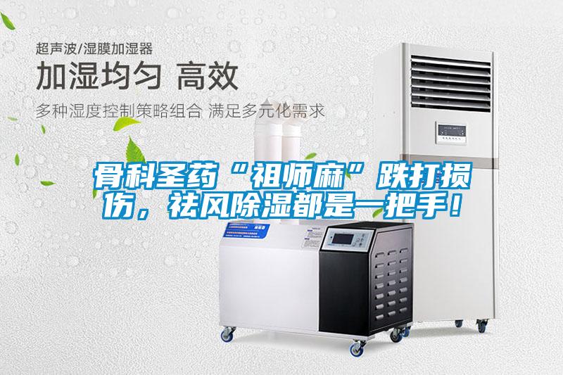 骨科圣藥“祖師麻”跌打損傷，祛風(fēng)除濕都是一把手！